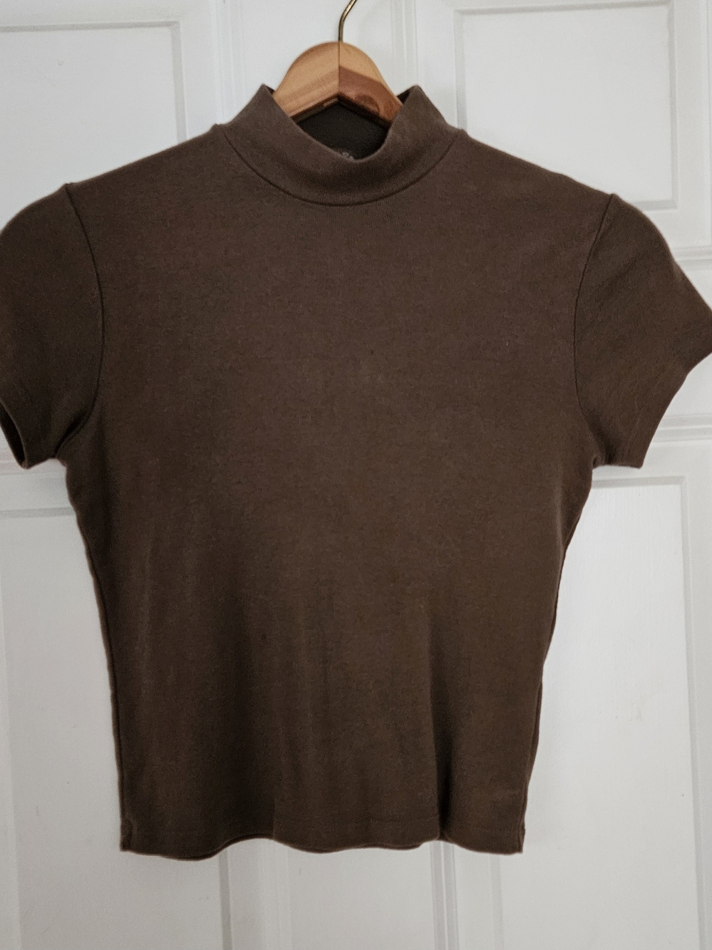 Brandy Melville Brown Fitted Short-Sleeve Mock Neck Top